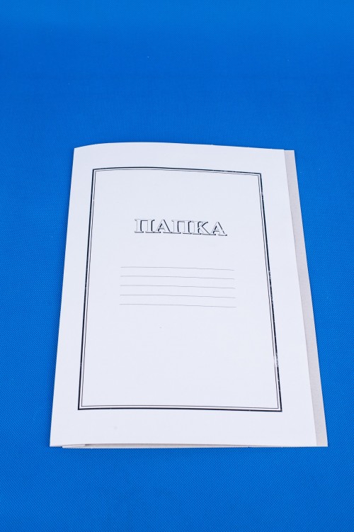 Папка обикновена бяла