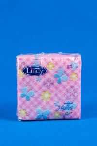 салфетки Линди 25х25/-х60бр.в пк./